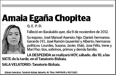 Amaia Egaña Chopitea se suicida por el desahucio de su hogar Oleada de suicidos ante los desahucios en España